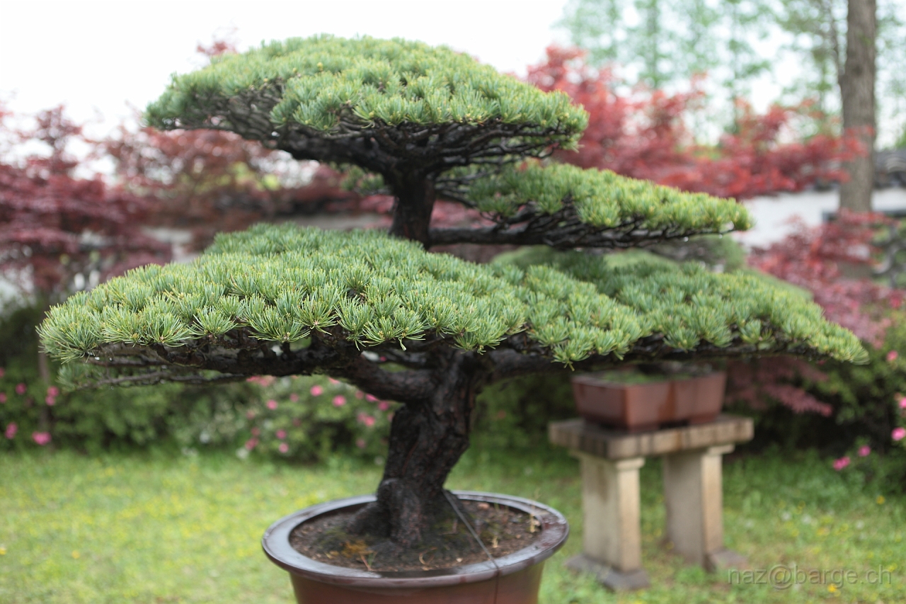 EOS 5D Mark II16_04_20135070.JPG